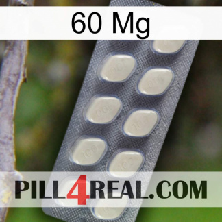 60 Mg 08